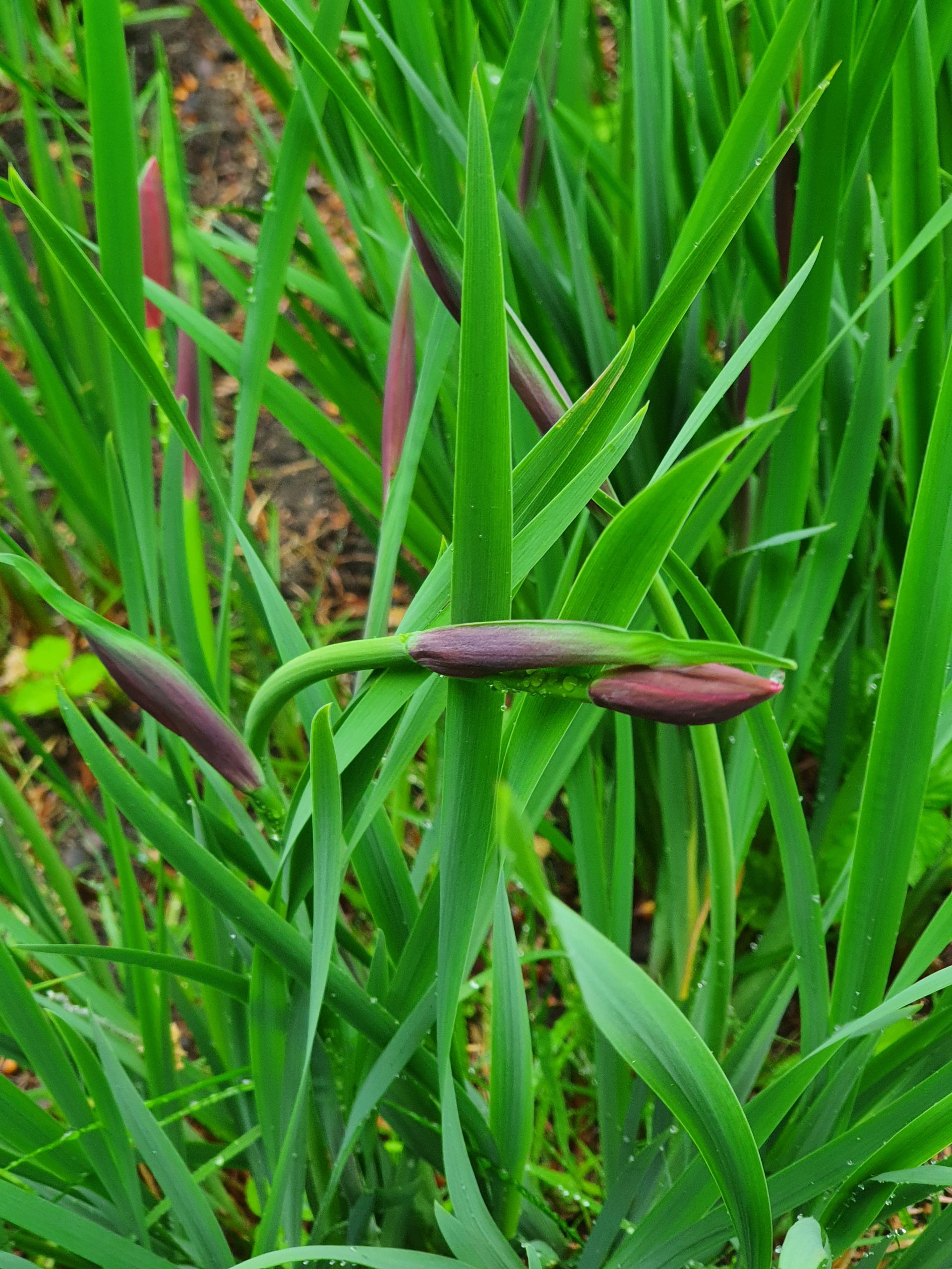 fotografia w terapii