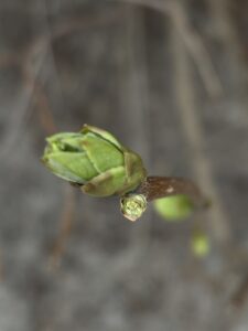 proces zmiany | wzrost | transformacja