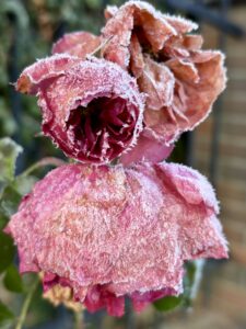 zatrzymanie | uważność | troska